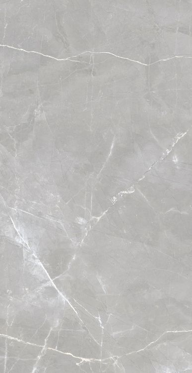Luxury Amani Grey Matte 24 x 48